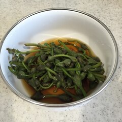 山菜ミズの実の浅漬け レシピ 作り方 By ブルーボリジ 楽天レシピ 山菜ミズの実の浅漬け レシピ 作り方 By ブルーボリジ 楽天レシピ